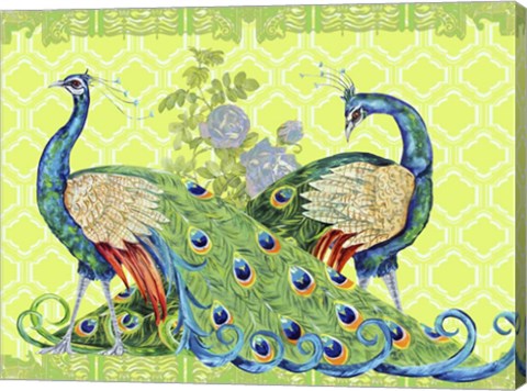Framed Peacock Parade Print