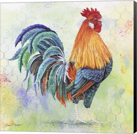Framed Watercolor Rooster - B Print