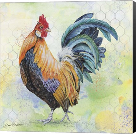 Framed Watercolor Rooster - D Print
