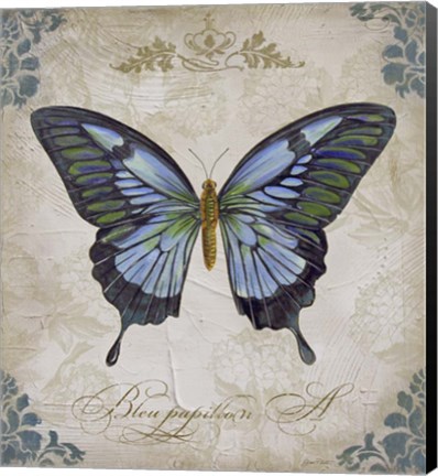 Framed Bleu Papillon - A Print