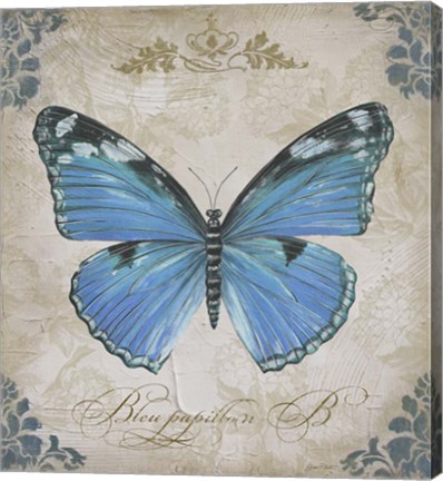 Framed Bleu Papillon - B Print