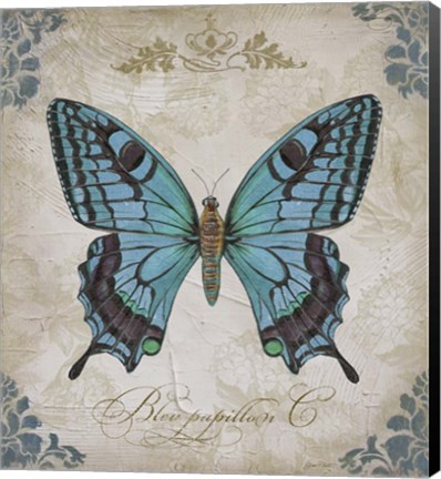Framed Bleu Papillon - C Print