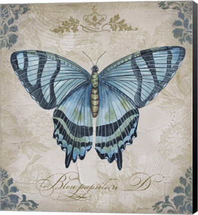 Framed Bleu Papillon - D Print