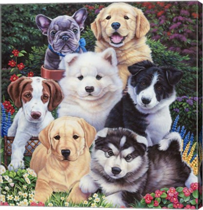 Framed Precious Puppies Print