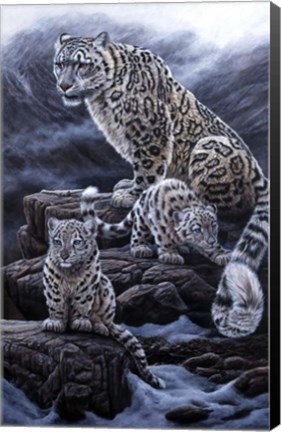 Framed Mother &amp; Cubs Print