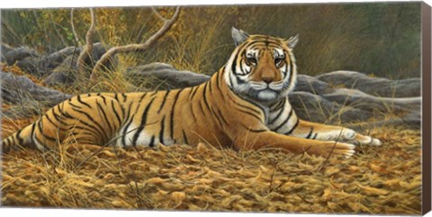 Framed Bengal Tiger Print