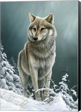 Framed Wolf On The Ridge Print