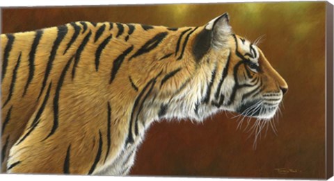 Framed Tense Tiger Print