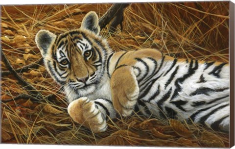 Framed Tiger Cub Print