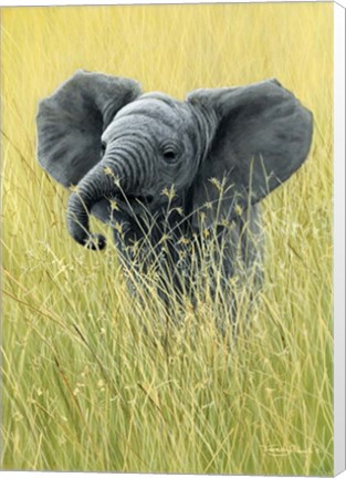 Framed Elephant In The Grass Print