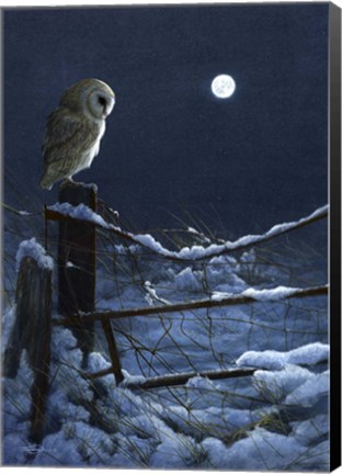 Framed Silent Night Barn Owl Print