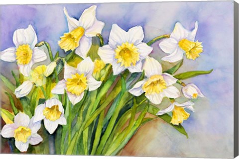 Framed Daffodil Cluster Print