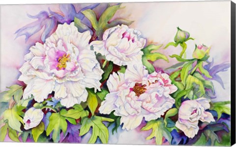 Framed Peonies with Pink Centers Print