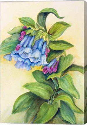 Framed Blue Bells Print