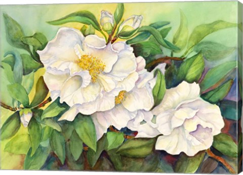 Framed Camellias Print