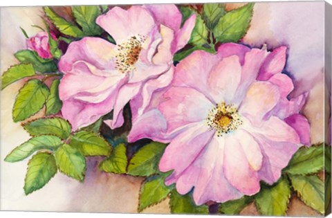 Framed Wild Roses Print