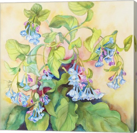 Framed Blue Bell Cluster Print