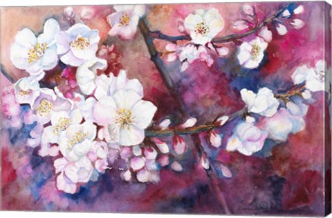 Framed Cherry Blossoms Print
