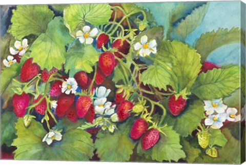 Framed Strawberry Patch - A. Ripe on the Vine Print