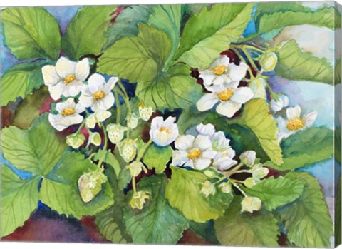 Framed Strawberry Patch - B. Flowering Print
