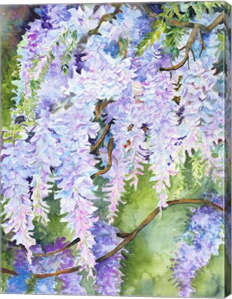 Framed Wisteria Print