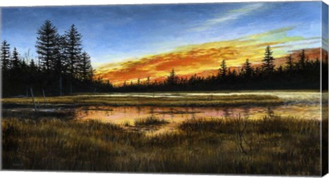 Framed Blazing Quietude Print