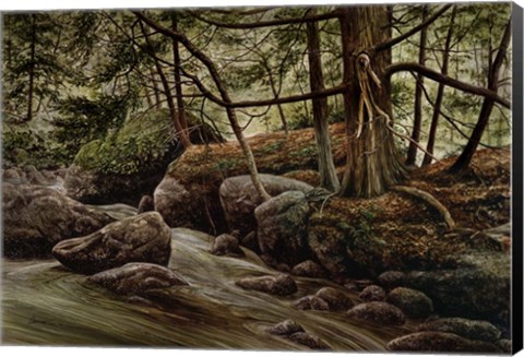 Framed Forest Intrigue Print