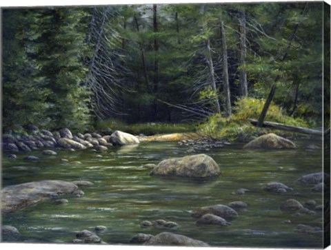 Framed Forest River Print