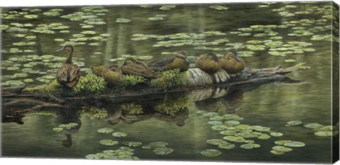 Framed In A Row Print