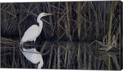 Framed Is a Virtue Print