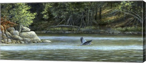 Framed Open Water Print