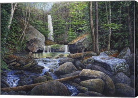 Framed Ozone Falls Print