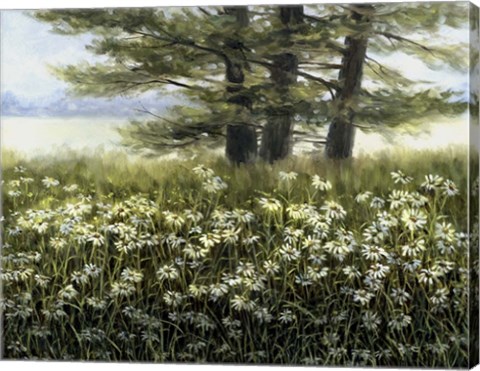 Framed River Daiseys Print