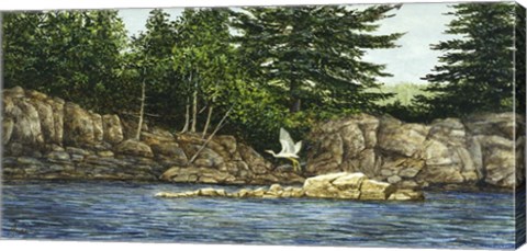 Framed River Flight Print