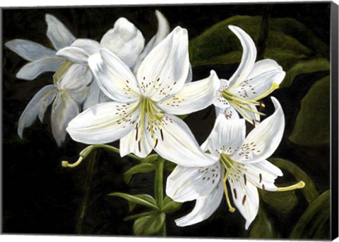 Framed Sara White Print