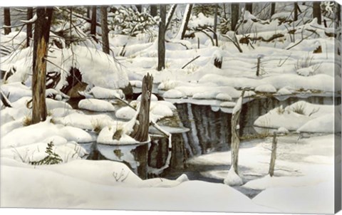 Framed Simplicity in Detail Print