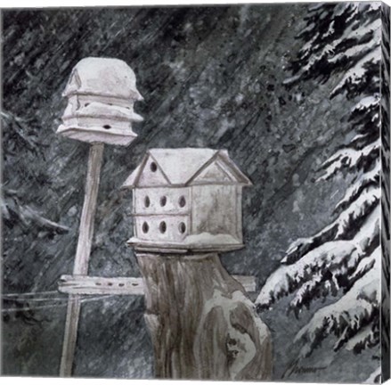 Framed Snow Birds Print