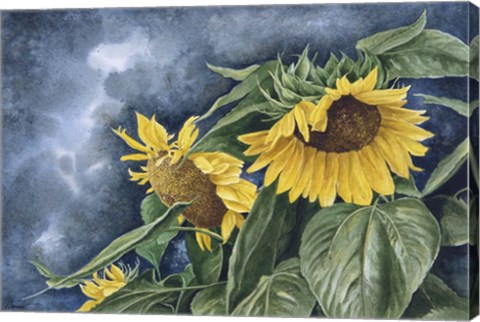 Framed Summer Gold Print