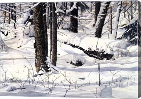 Framed Symphony of Light Print