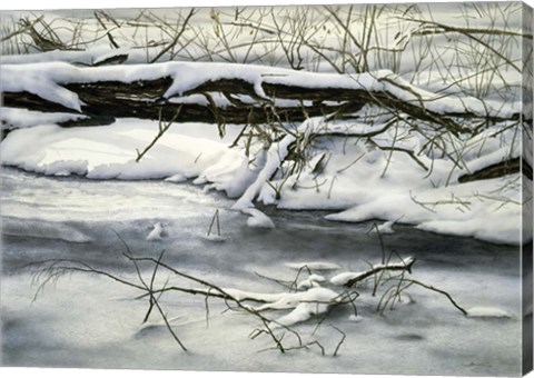 Framed Winter Walk Print