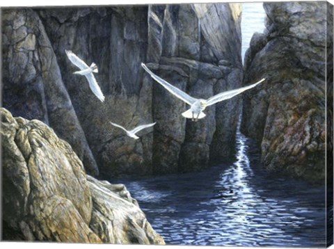 Framed Gulls of Puplit Rock Print
