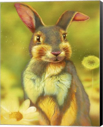 Framed Rabbit Print