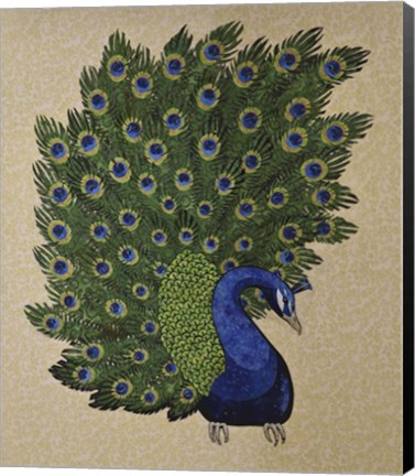 Framed Peacock Stitched Print