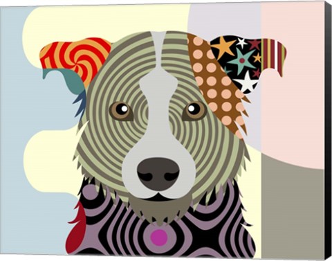 Framed Border Collie Print