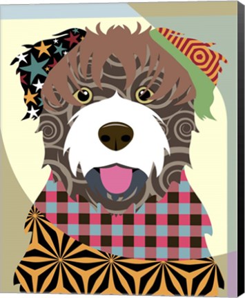 Framed Bouvier Des Flandres Print