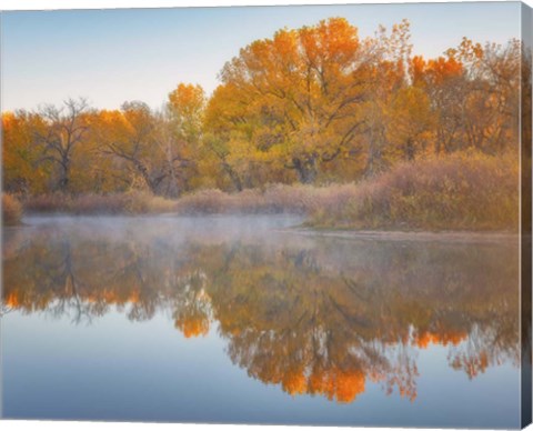 Framed Autumn&#39;s Reflection Print