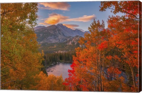 Framed Autumn&#39;s Breath Print