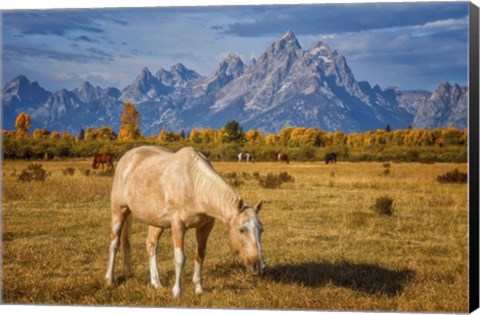 Framed Breakfast in the Tetons Print