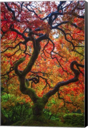 Framed Earthal Tree Alive Print