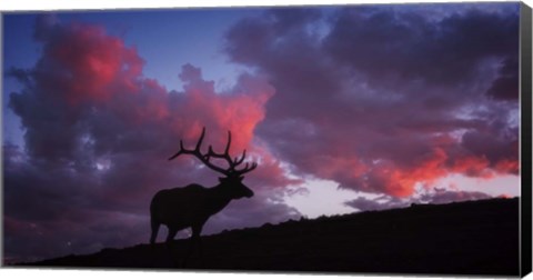 Framed Sunset in the Rockies Print
